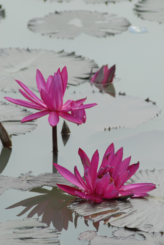 2006-8-5-6摄于长沙 291.jpg