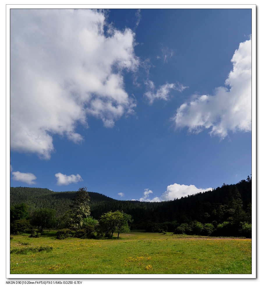DSC_0614a.jpg