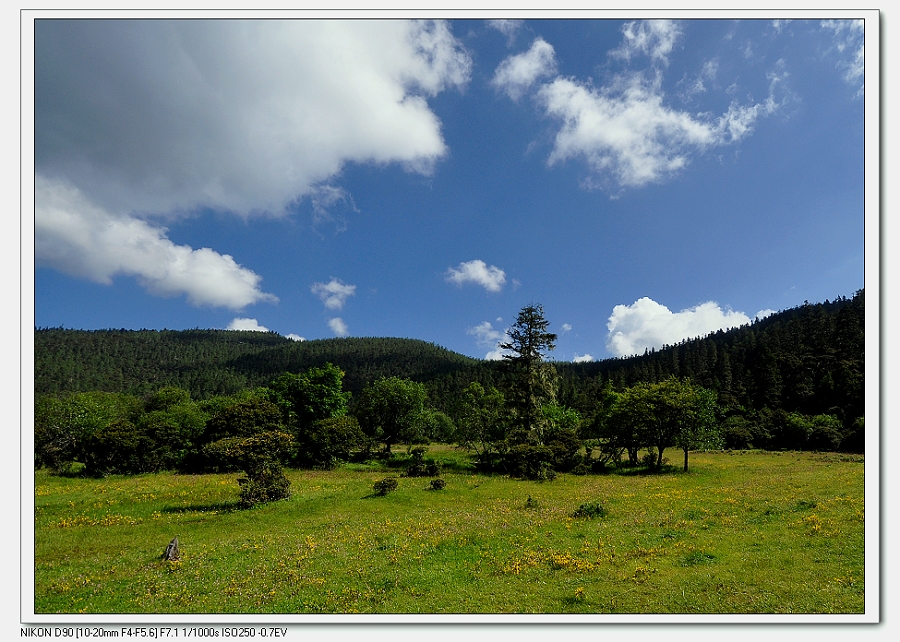 DSC_0623.jpg
