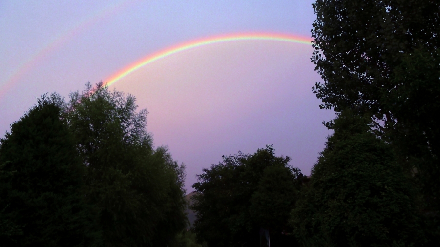 P1000215.JPG
