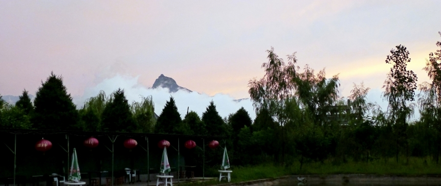 P1000219.JPG