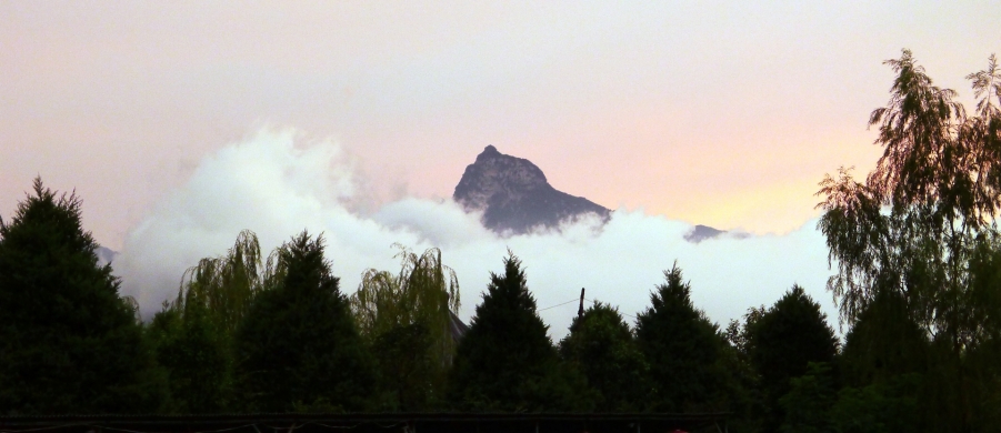 P1000223.JPG