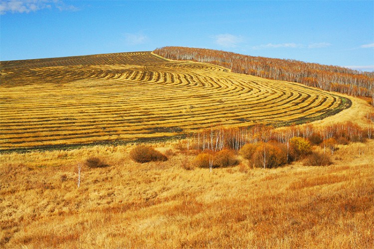 阿阿尔山.jpg