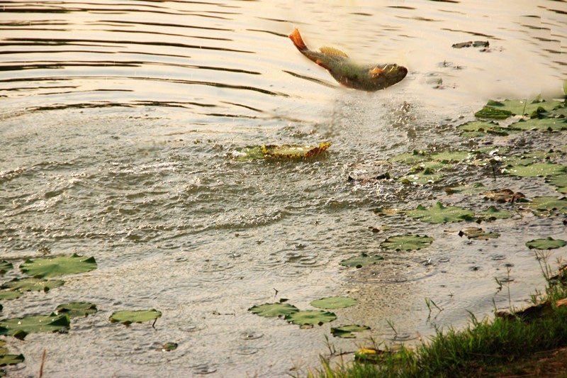 南荷 058_副本.jpg