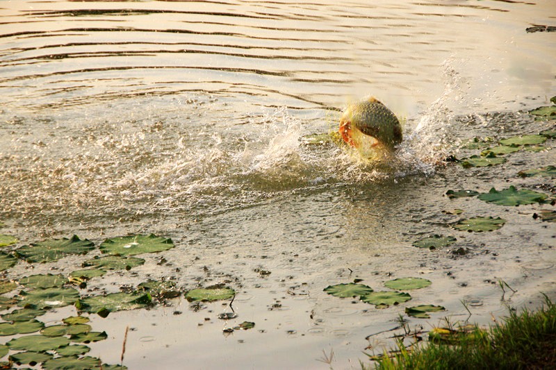 南荷 056_副本.jpg