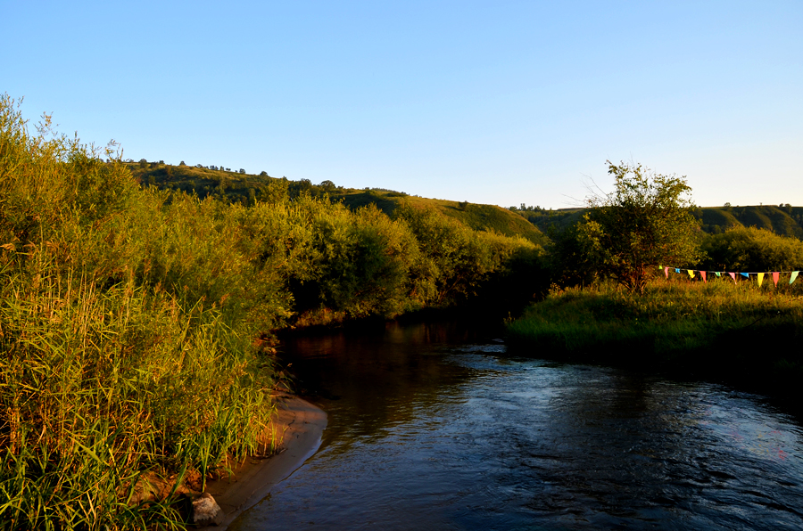 DSC_0454.jpg