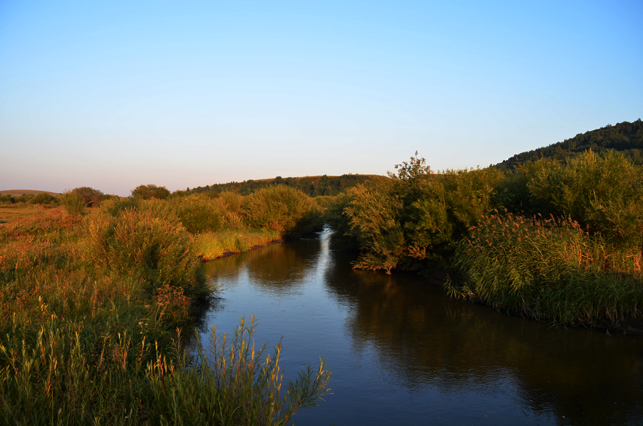 DSC_0456.jpg