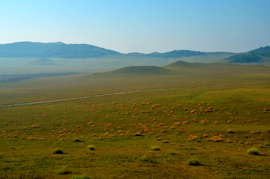 DSC_0486.jpg