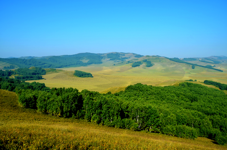 DSC_0509.jpg
