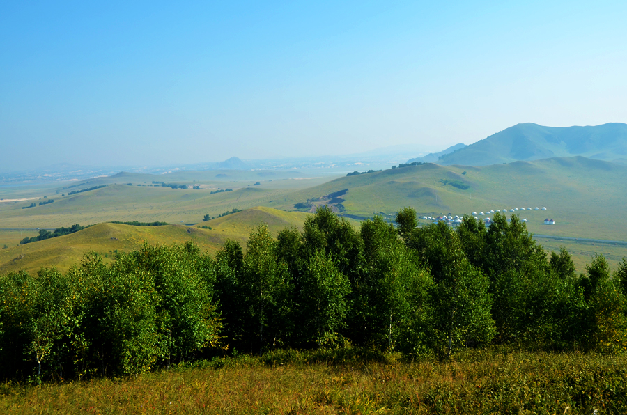 DSC_0512.jpg