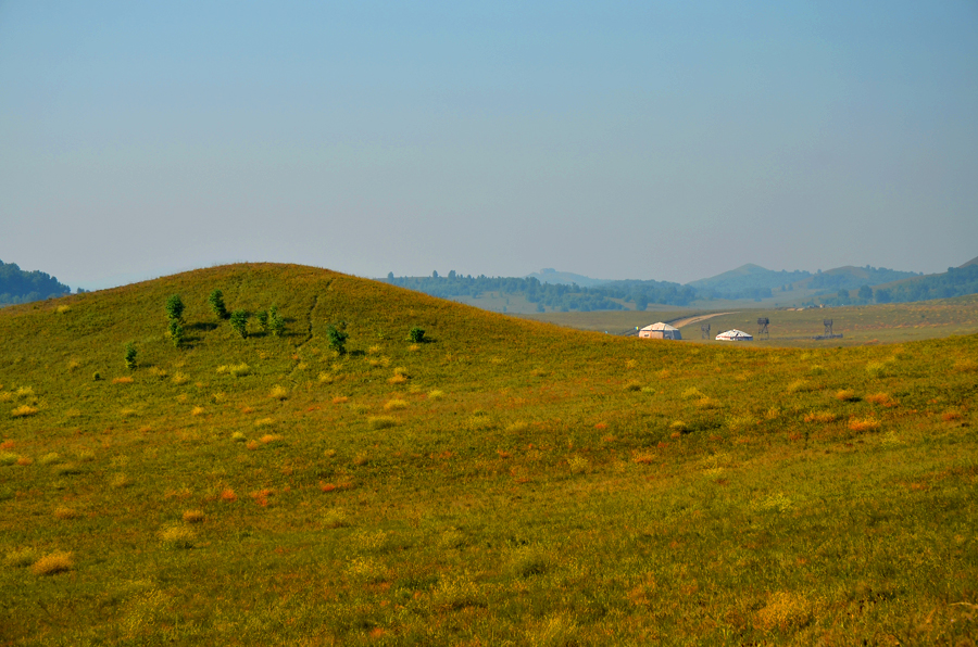 DSC_0525.jpg