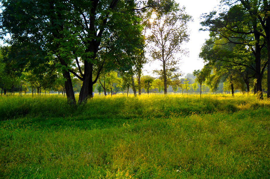 DSC_0417.jpg