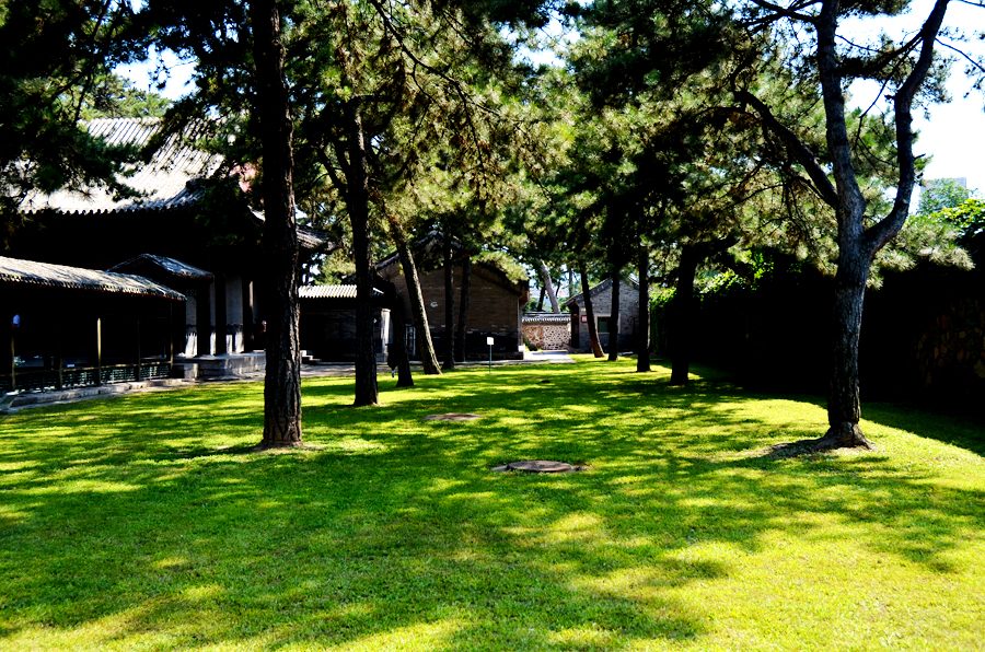 DSC_0367.jpg