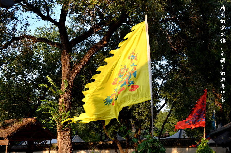 DSC_0401.jpg