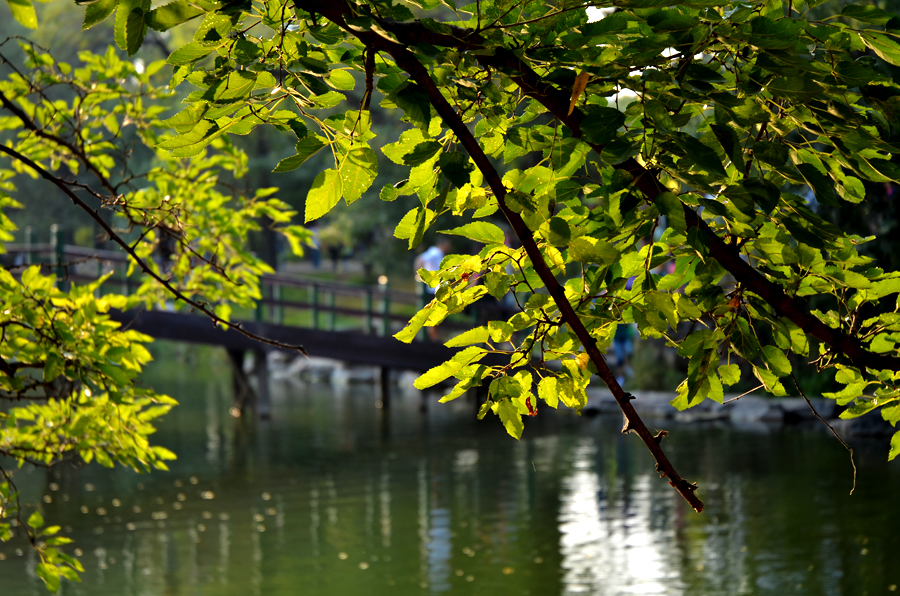 DSC_0413.jpg