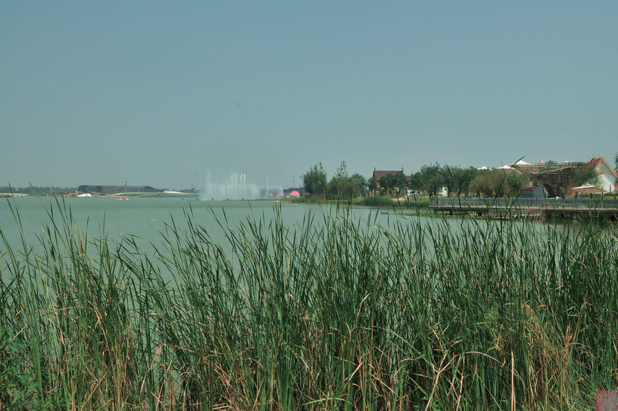 DSC_0481.jpg
