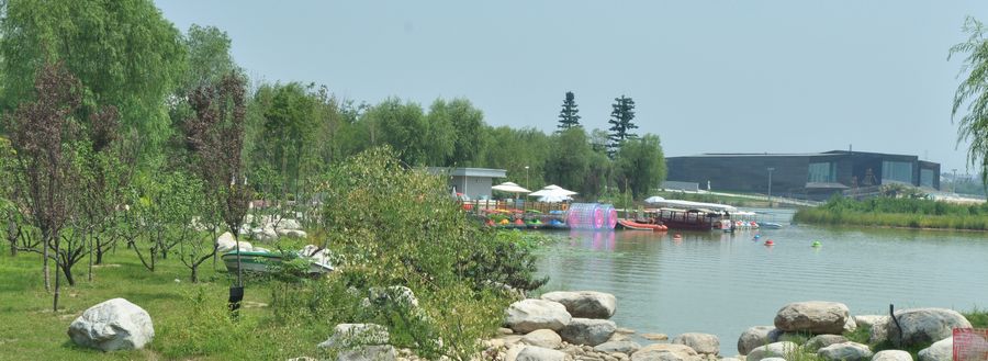 DSC_0539.jpg