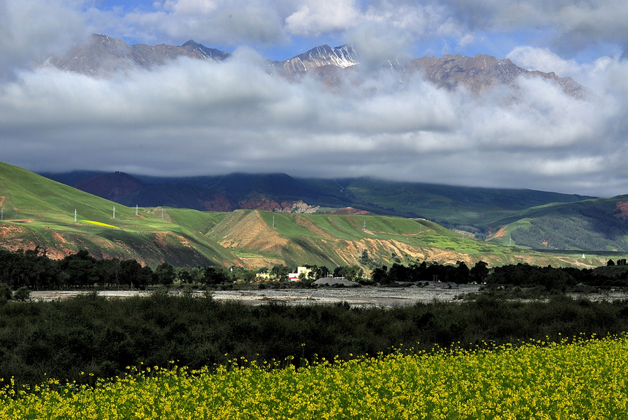 _DSC0090.jpg