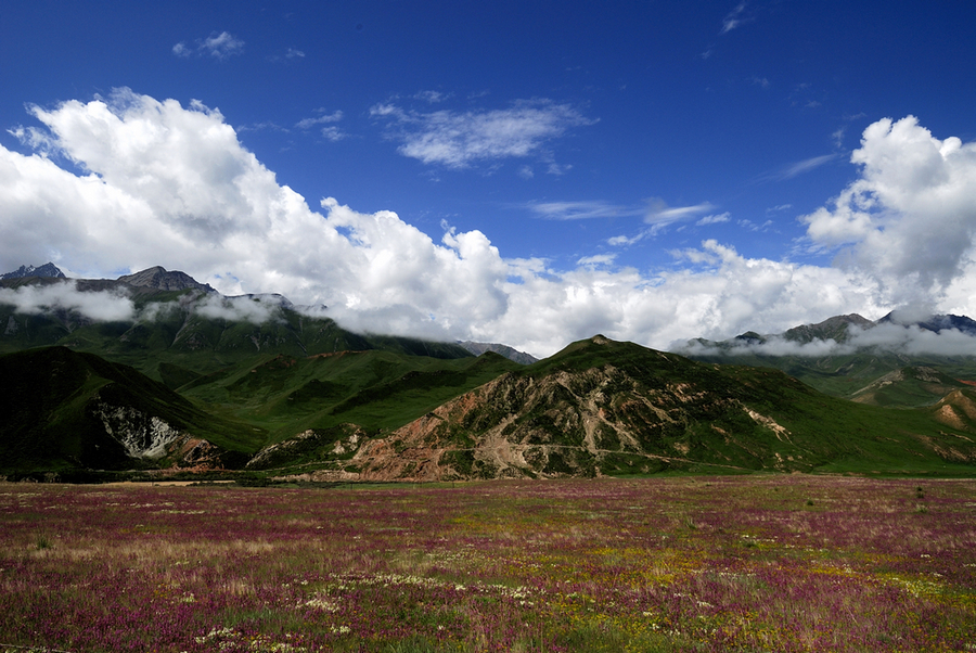 _DSC0165改.jpg