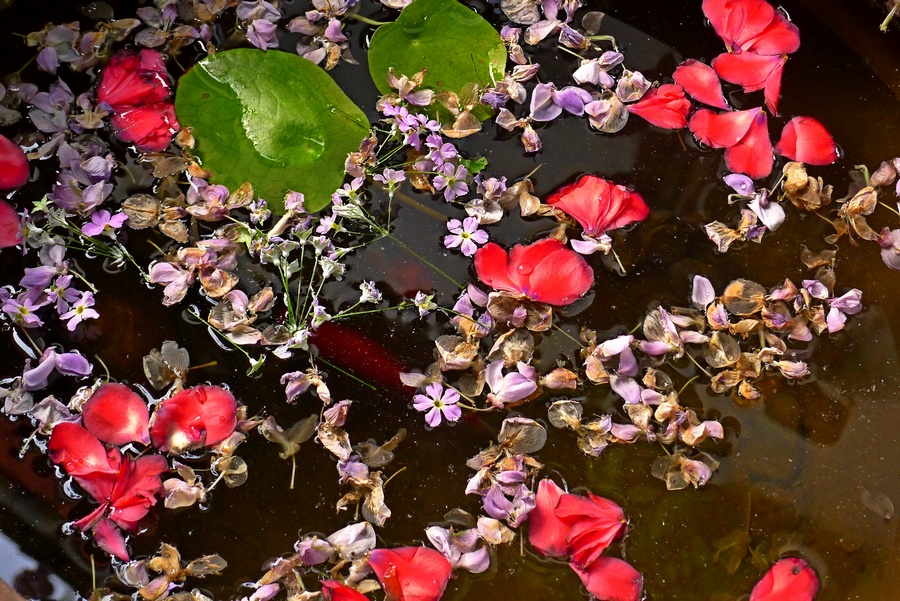 唐家阁客栈 (48).JPG