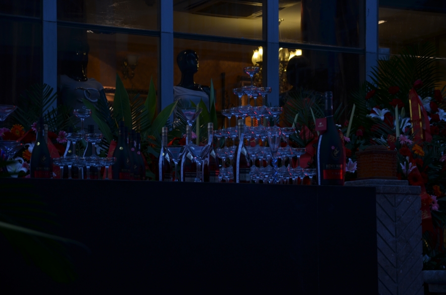 DSC_8950.JPG