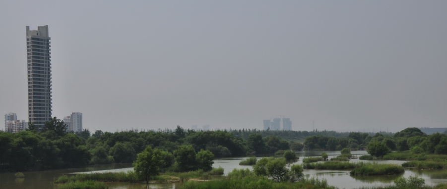 DSC_2520_8452.jpg