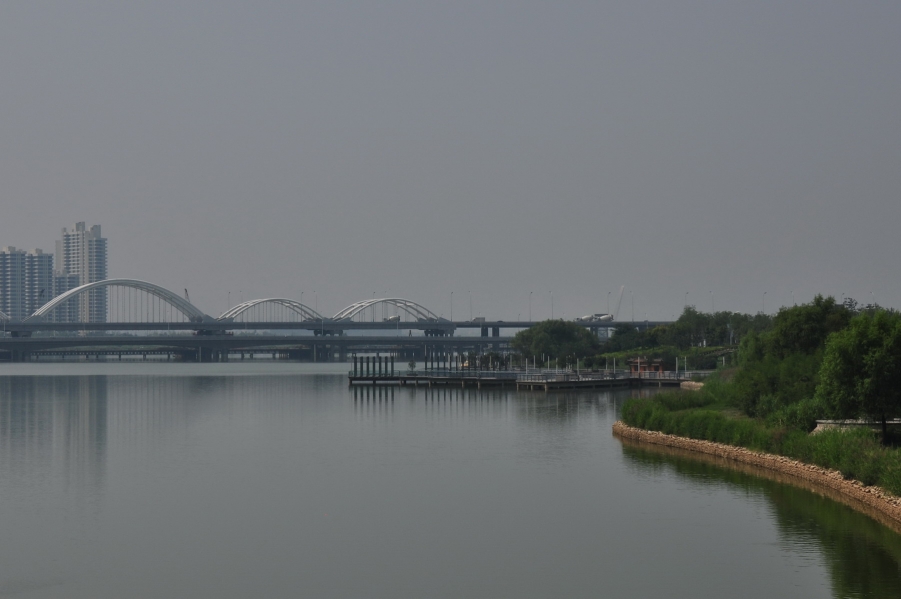 DSC_2541_8473.jpg