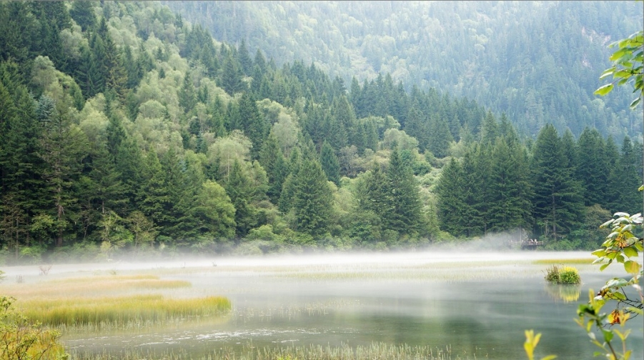 湖面云雾缭绕--九寨沟.jpg