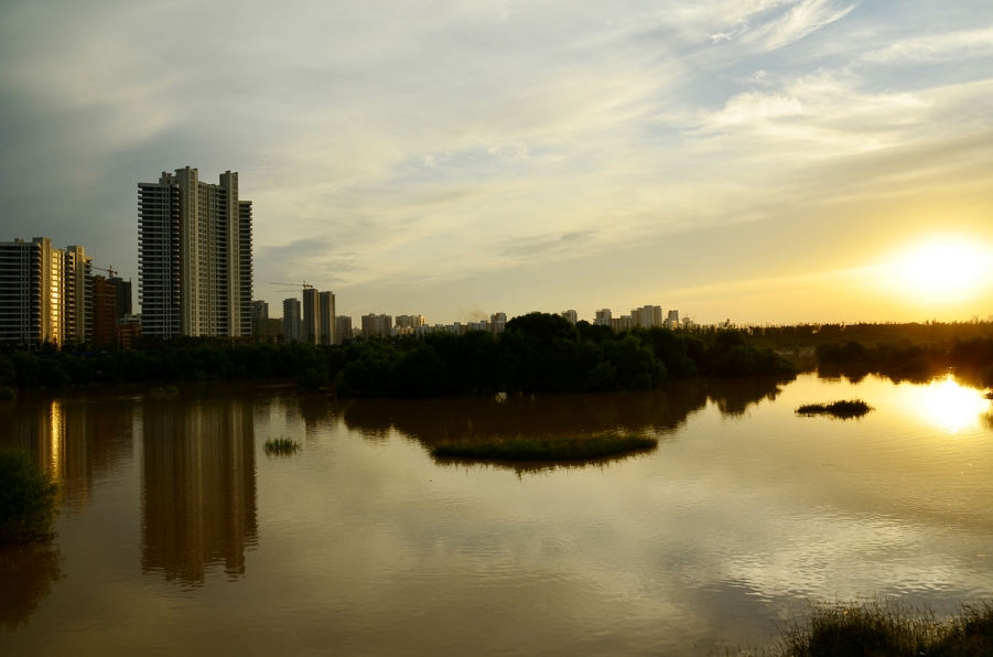 DSC_7862.JPG
