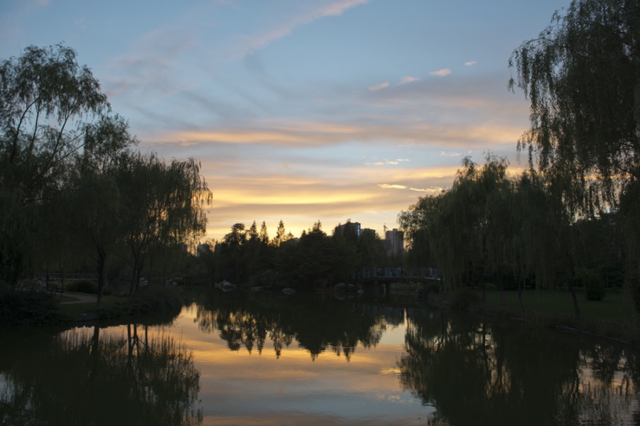 DSC_2291.jpg
