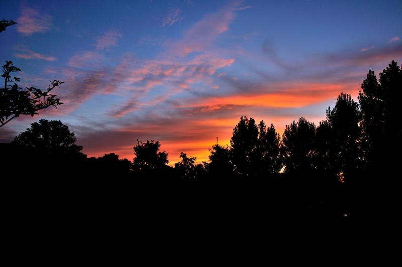 HOU_8130.jpg
