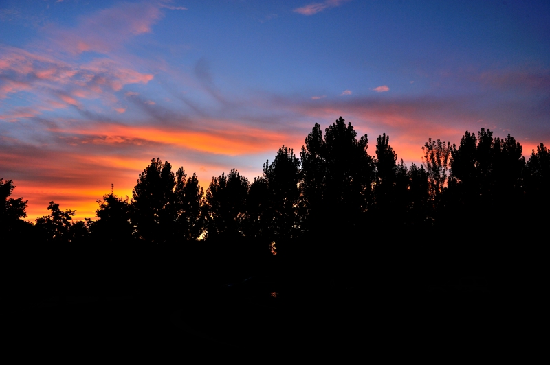 HOU_8131.jpg