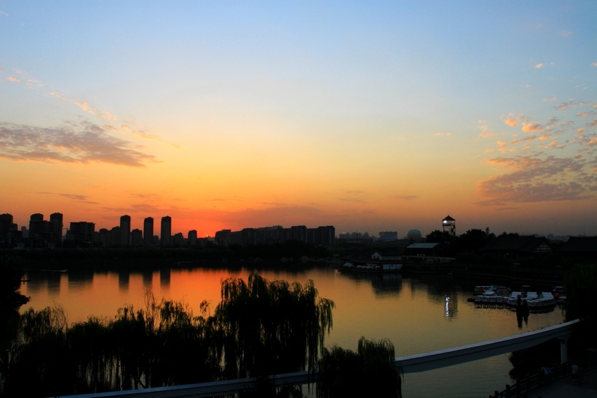 IMG_7212.jpg
