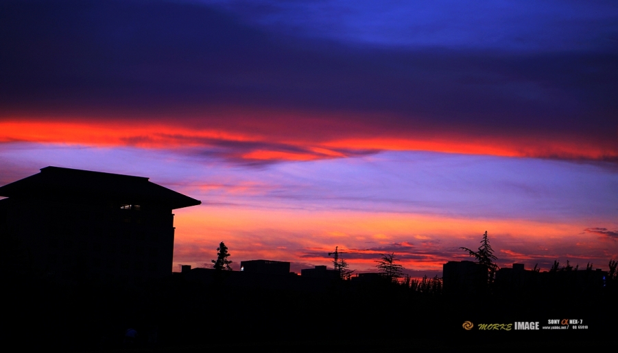 DSC04836a.jpg