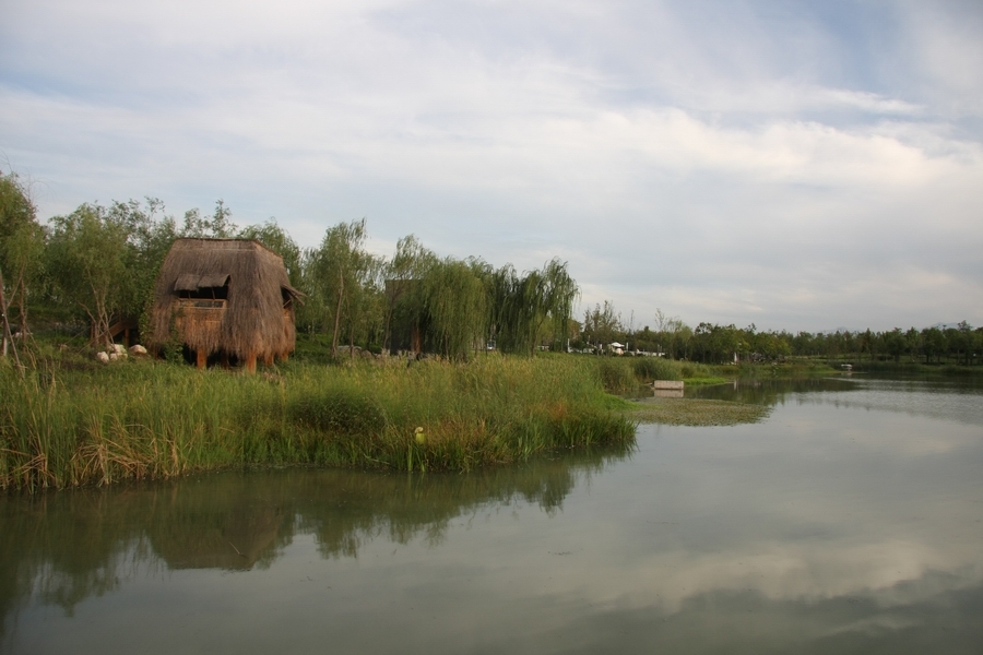 IMG_1735.JPG