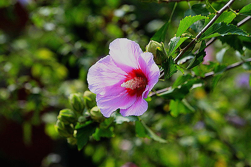 与 003_副本_副本.jpg