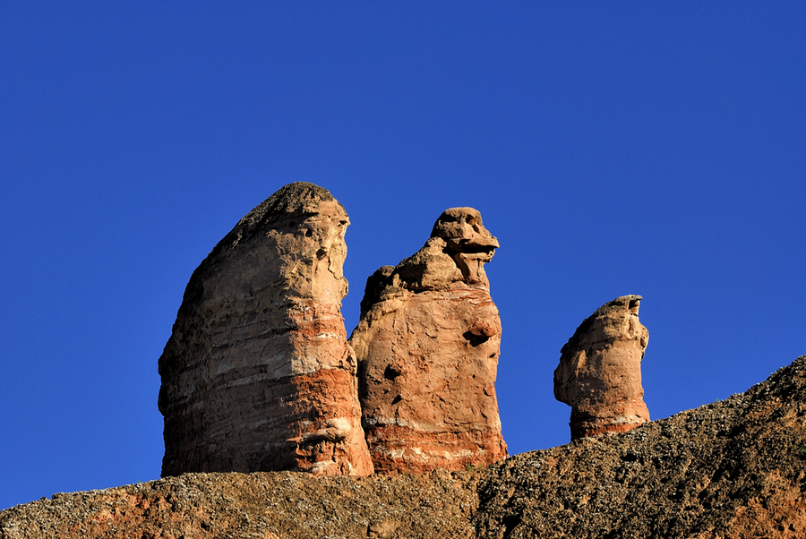_DSC0409.jpg