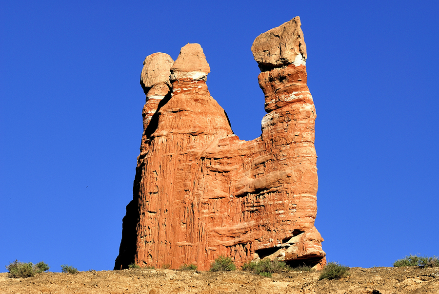 _DSC0416.jpg