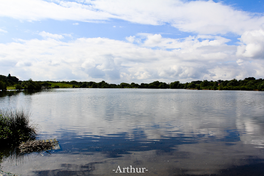 20120826-IMG_9103-8.jpg