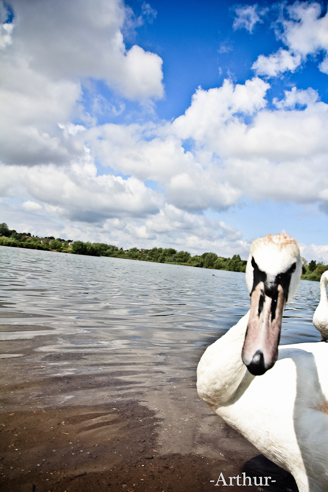20120826-IMG_9162-13.jpg