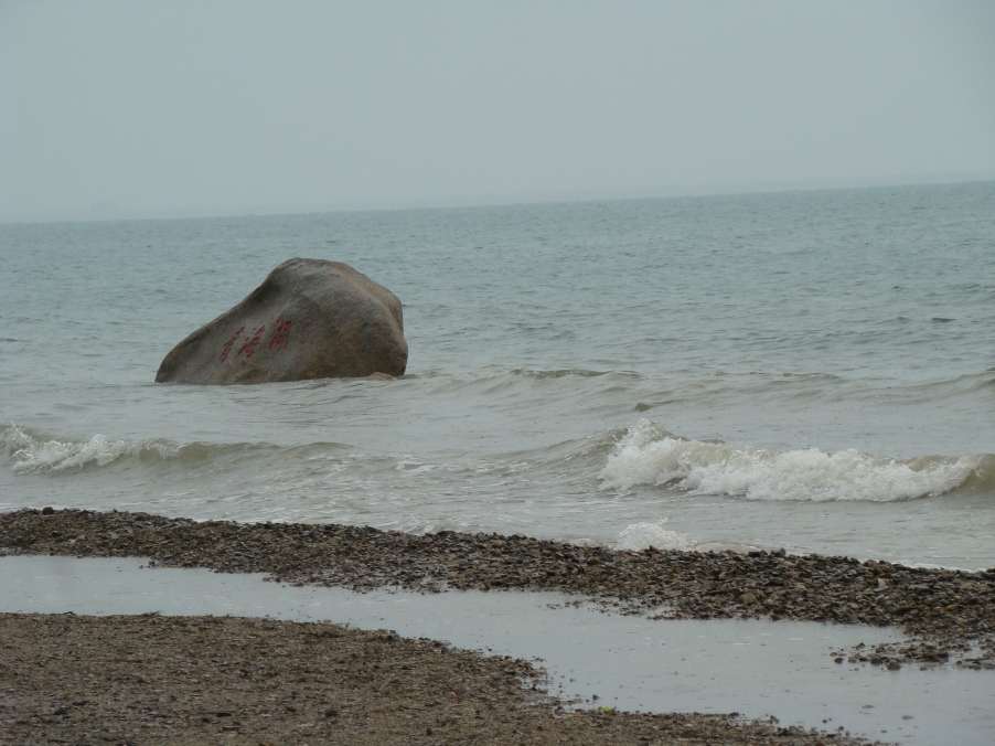 头一天去塔尔寺，阳光那个明媚呀，今天去青海湖就成了大雨如注，很冷，谢谢同团的游友给我一路撑伞，才留下 ...