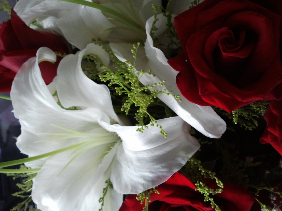 2011-08-06 18.33.20.jpg
