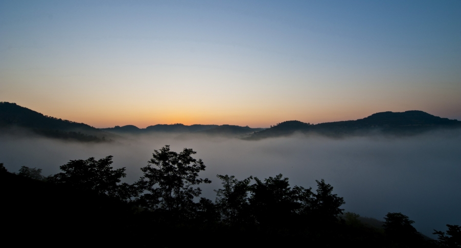 DSC_1504.JPG