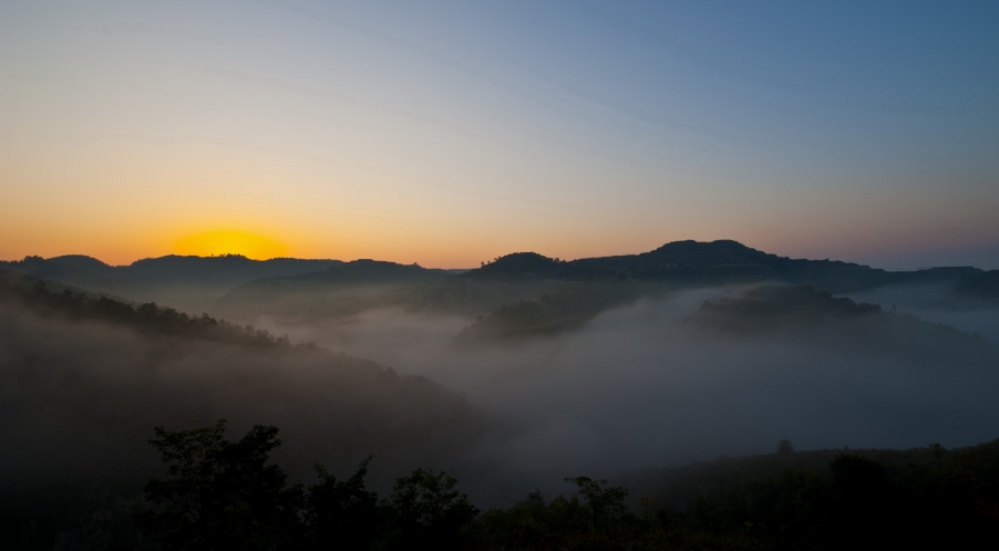 DSC_1516.JPG