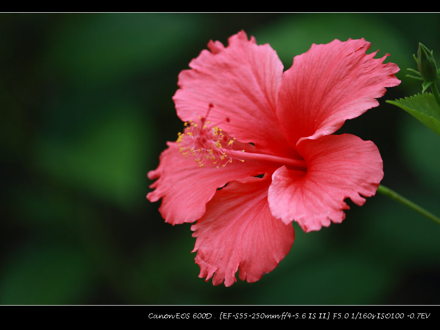 IMG_1763.jpg