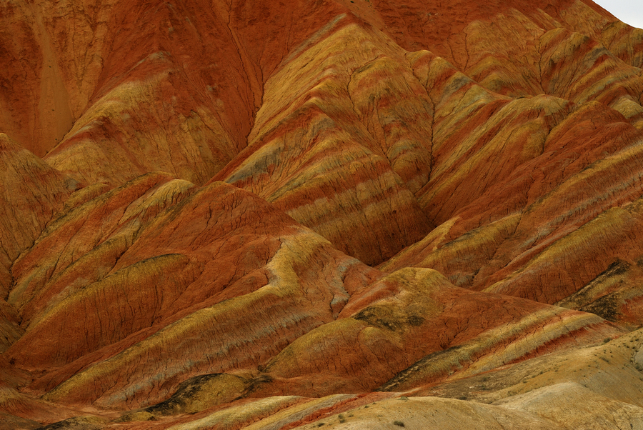 _DSC0485.jpg