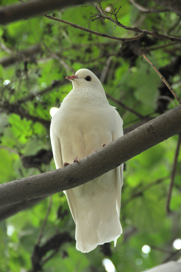 DSC_0437.JPG