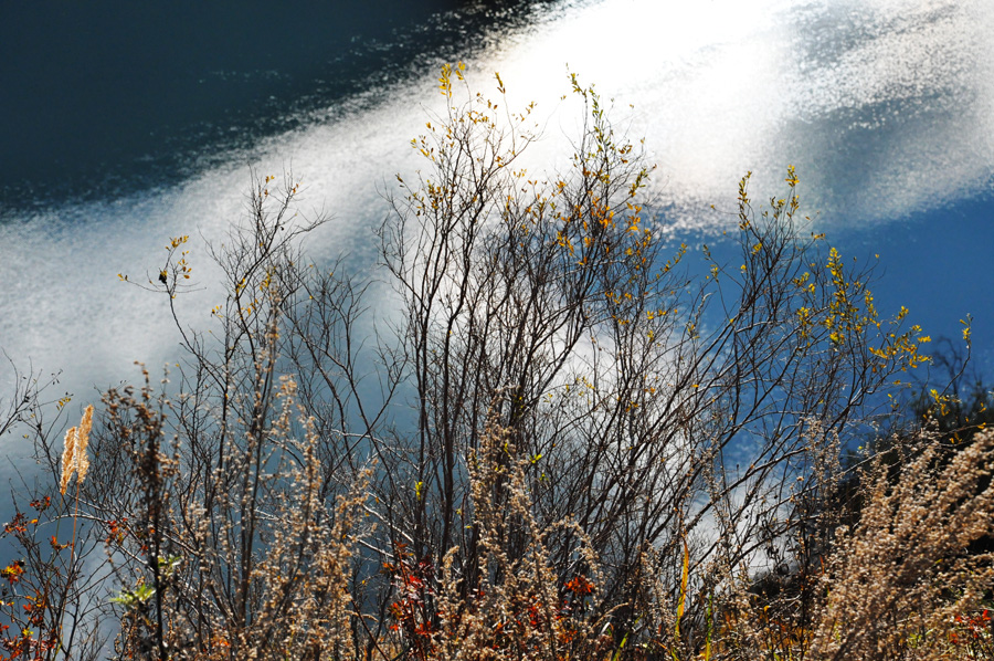 DSC_0341.jpg