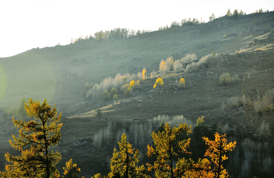 DSC_0352.jpg