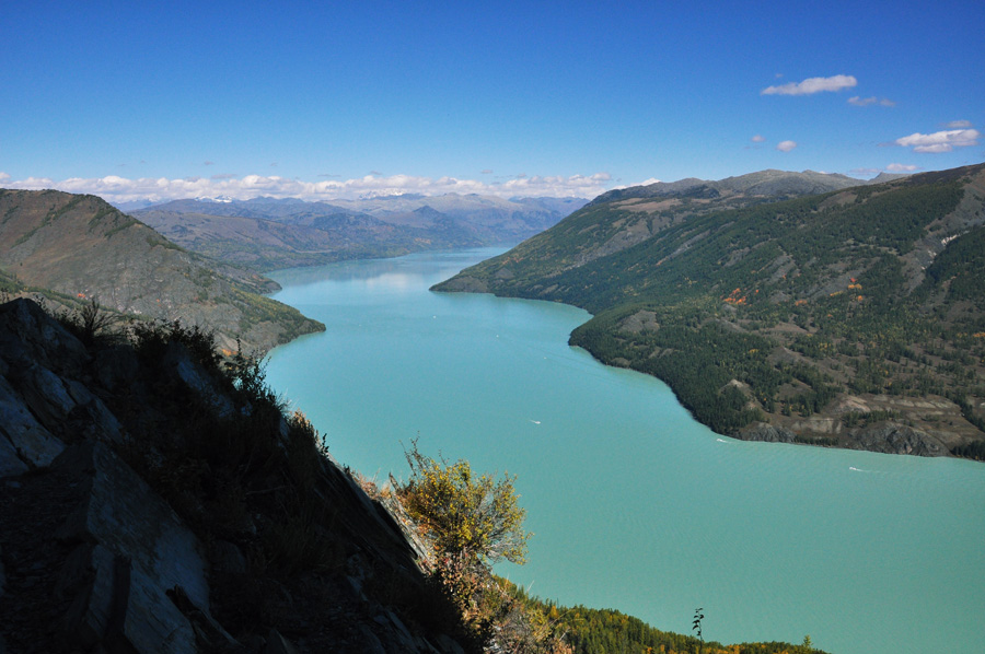 DSC_0442.jpg